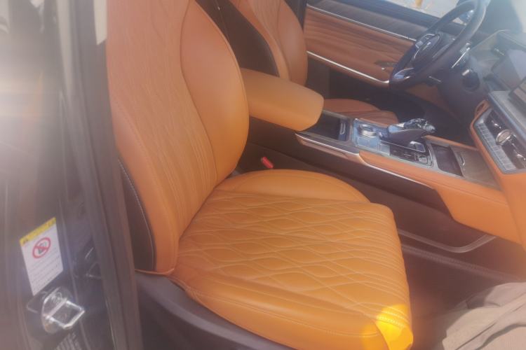 Used Tank 500 New Energy 2023 Hi4-T Right Front Seat