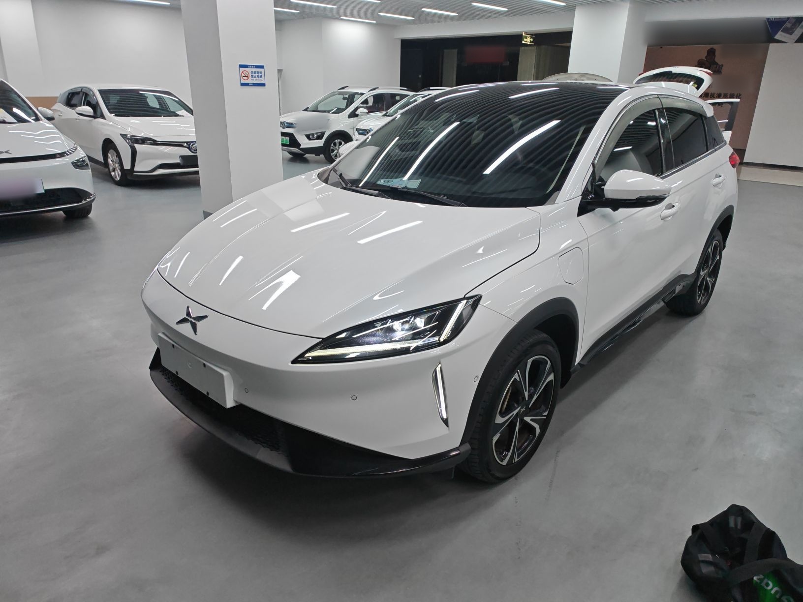 Parte inferior delantera