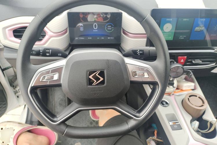 Used SOL E10X 2022 Flower Fairy Design Four-Leaf Clover Steering Wheel