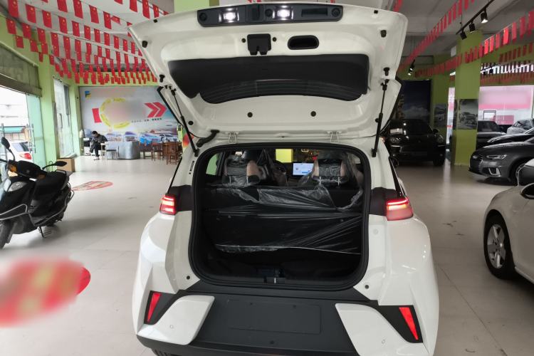 Used BYD Seagull 2025 Intelligent Driving Version 305 km Dynamic Edition
