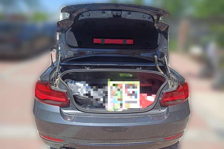 Used BMW 2 Series 2019 225i Convertible Coupe Sports Design Package