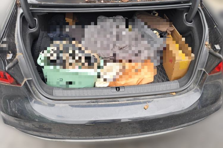 Used Audi A7L 2022 45 TFSI quattro S-line Black Warrior Edition Trunk