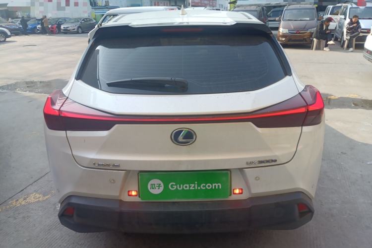 Used Lexus UX New Energy 2020 300e Pure·Joy Edition