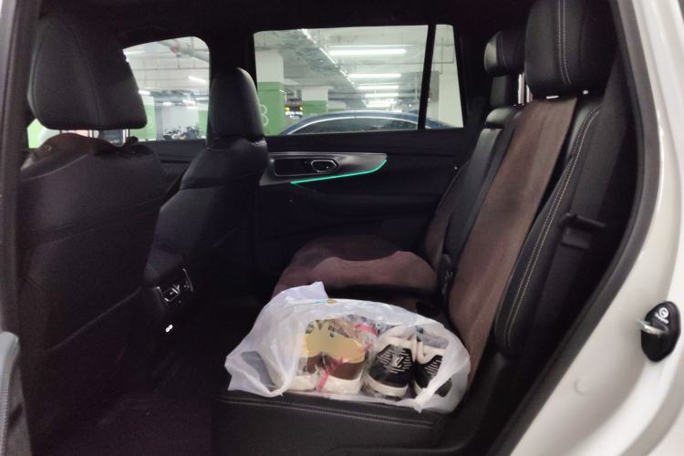 Used GAC Trumpchi GS8 2025 Linghang Series 2.0 TGDI Two-Wheel-Drive Luxury Edition 5 Seats Left Rear Seat