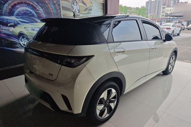 Used BYD Dolphin 2025 420km Free Edition Rear Right 45 Deg