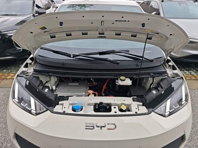 Used BYD Seagull 2026 Model, 305 km Freedom Edition — 19