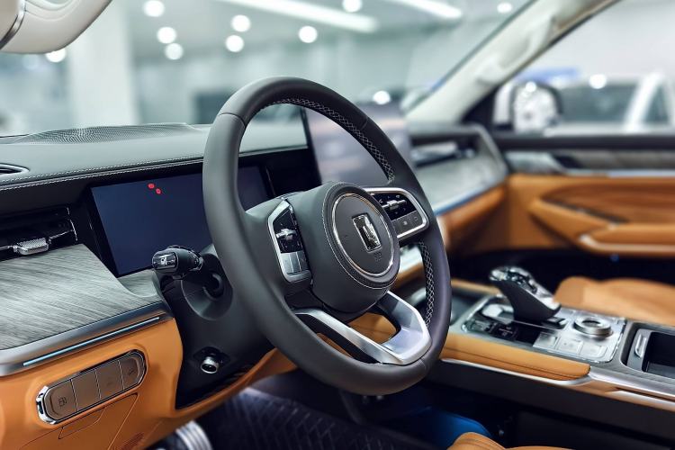 Used Tank 500 New Energy The 2025 Hi4-Z is definitely a hit.