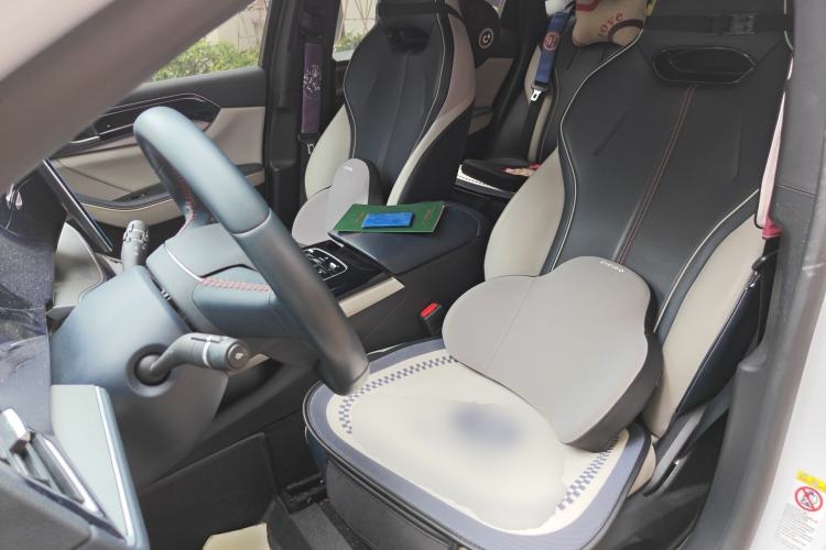 Used BYD Qin PLUS 2021 DM-i 55KM Flagship Model Left Front Seat