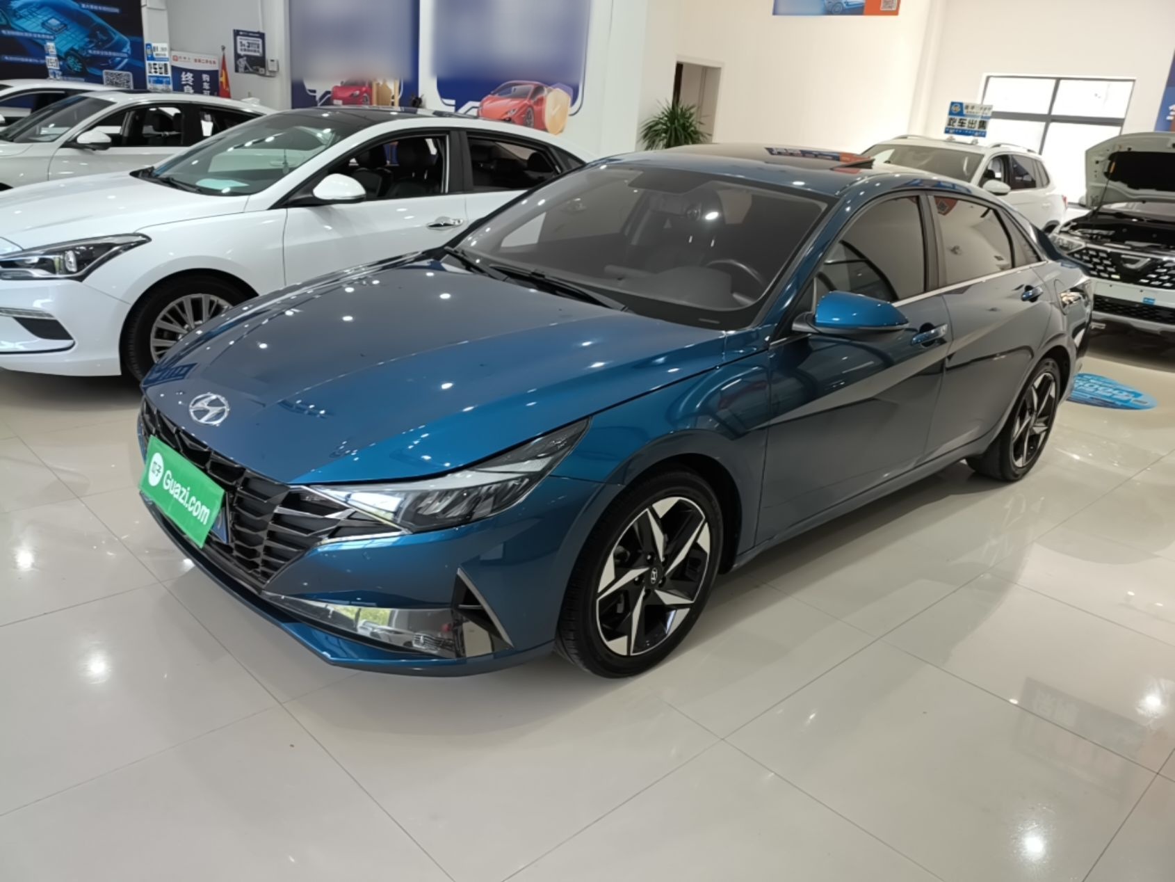 Parte inferior delantera