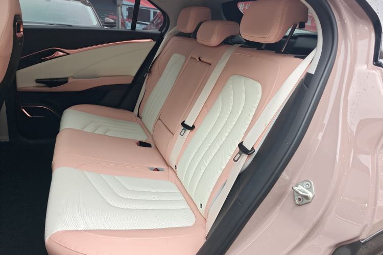 Used NETA U 2022 NETA U-Ⅱ 610 Ternary Lithium