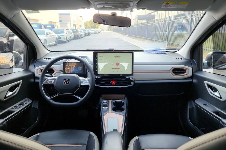 Used SOL E10X 2022 Flower Fairy Style Baby's Breath