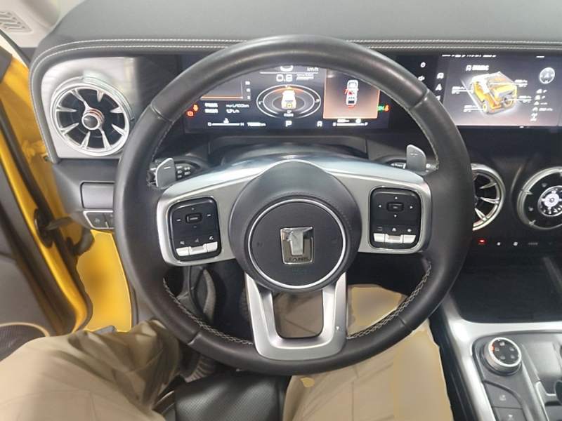 Used Tank 300 2022 2.0T Border Limited Edition — 10