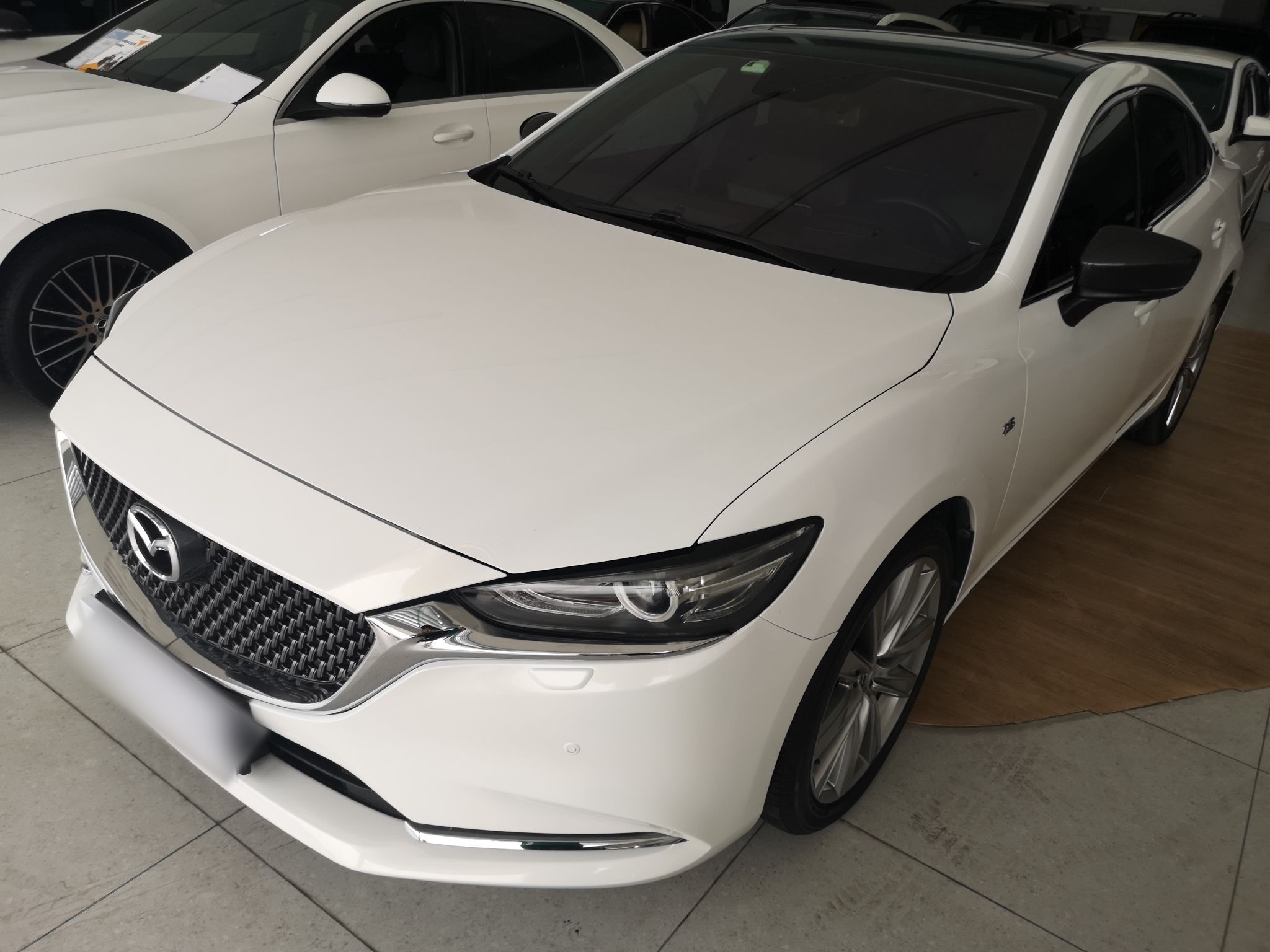 Parte inferior delantera