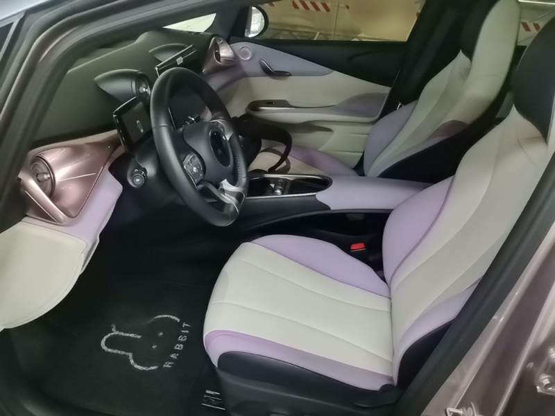 Used BYD Dolphin 2021 405 km Fashion Edition — 14