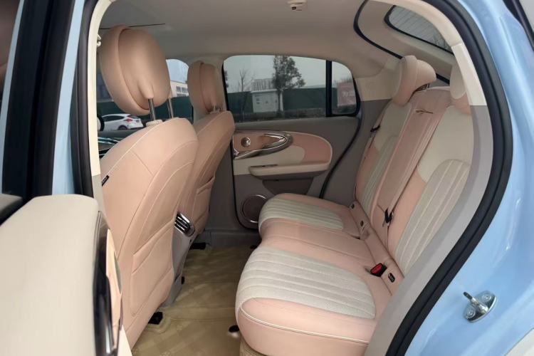 Used ORA Ballet Cat 2022 401 km Nutcracker Edition