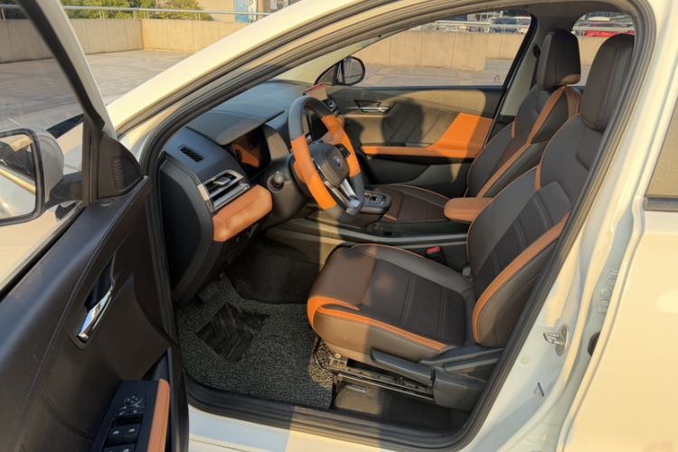 Used BYD e2 2019 Long-Range Version Yao·Luxury Trim