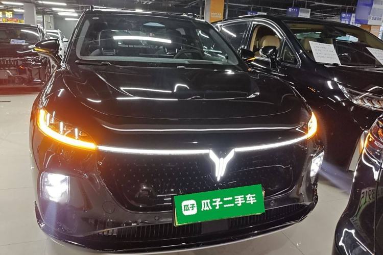 Used VOYAH COURAGE 2024 Four-Wheel Drive Global Edition