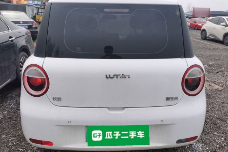 Used Qiyuan Lumin 2023 205km Xiangqin Version