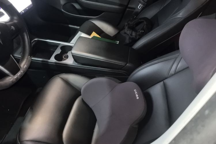 Used Tesla Model 3 2021 Standard Range Rear-Drive Upgraded Version Left Front Seat