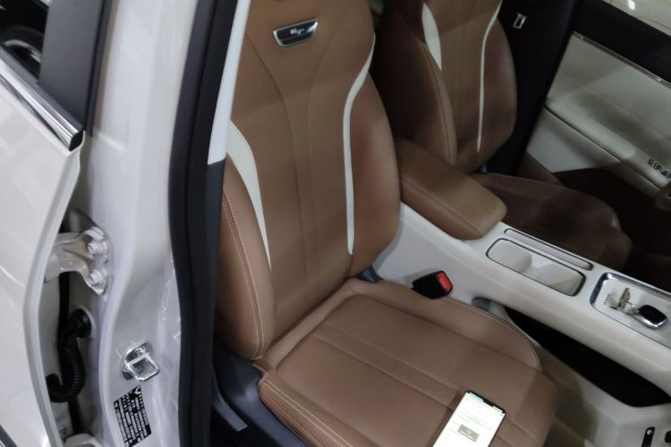 Used Wuling Bingo S 2025 Model 430km Flagship Edition