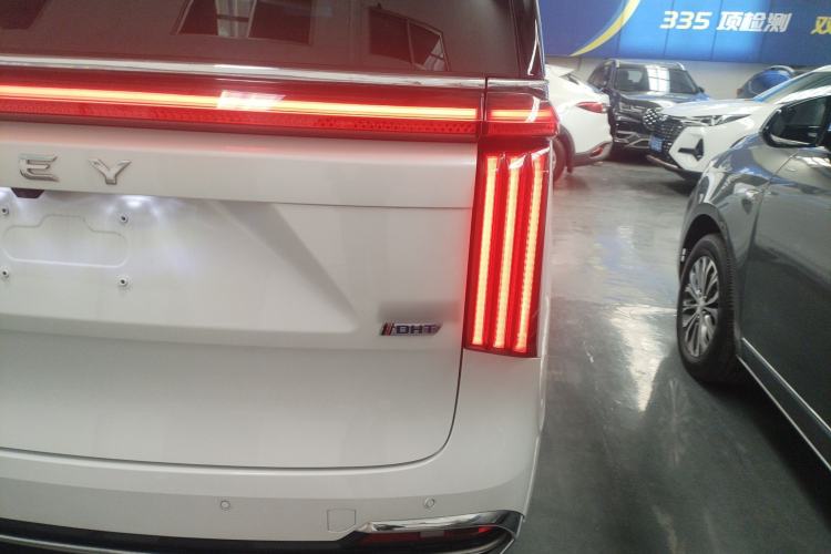 Used Wey Gaoshan 2023 Four-Wheel Drive Flagship Edition