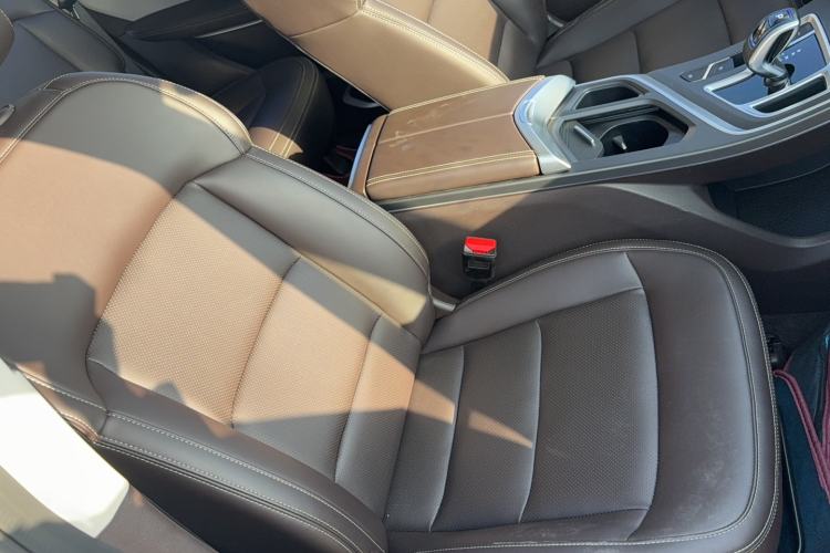 Used Livan Maple 80V 2021 Easy-Drive Version Lithium-Ion
