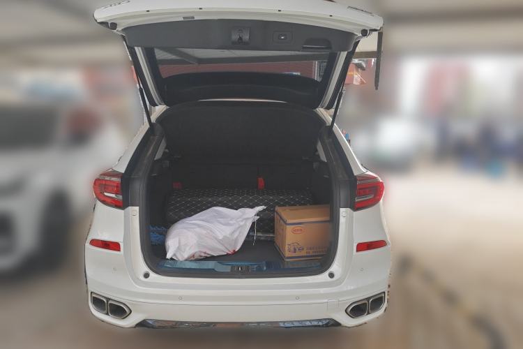 Used Honda Avancier 2020 370TURBO Four-Wheel Drive Premium Edition