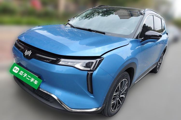 Used WM Motor W6 2021 520km ACE Advanced Intelligence Edition