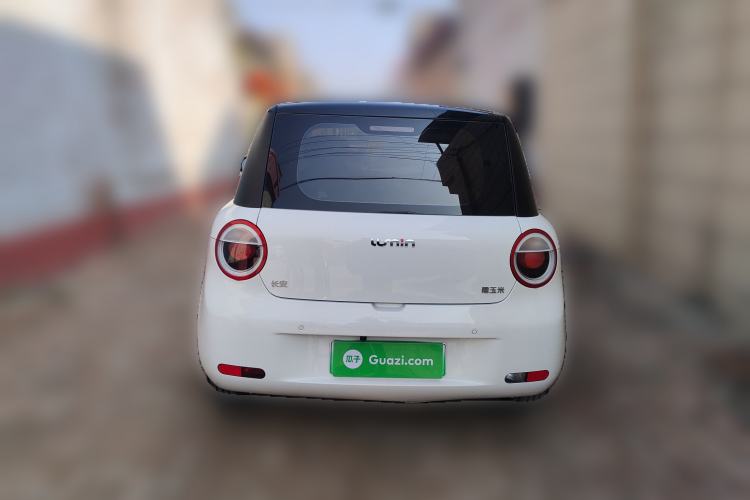 Used Qiyuan Lumin 2023 301km Honey Dew Edition
