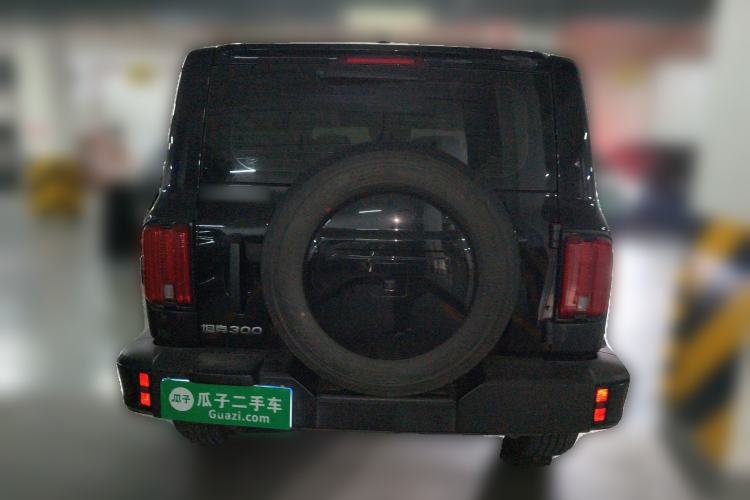 Used Tank 300 2024 2.0T Conqueror
