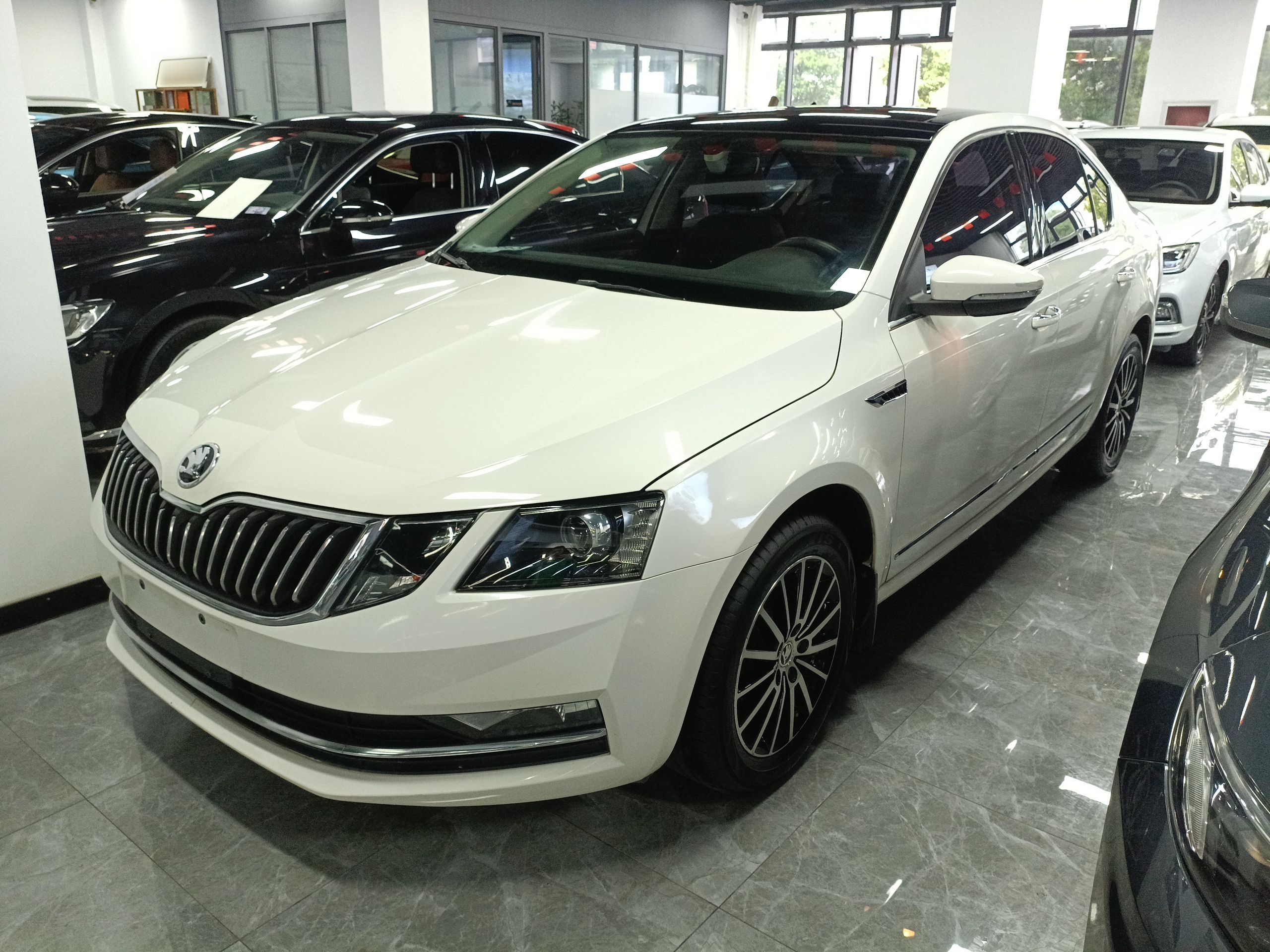 Parte inferior delantera