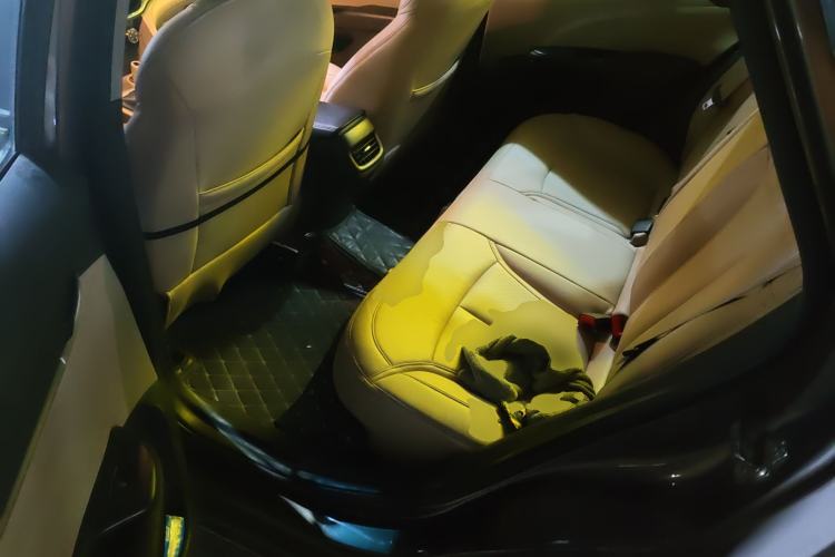 Used Buick GT 2015 15N Manual Elite Edition Left Rear Seat