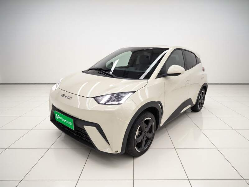 Used BYD Seagull 2023 Free Edition — 1