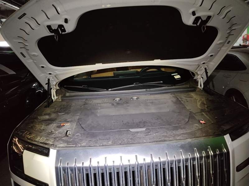 Used Zeekr 9X 2025 Ultra Edition 70kWh — 19