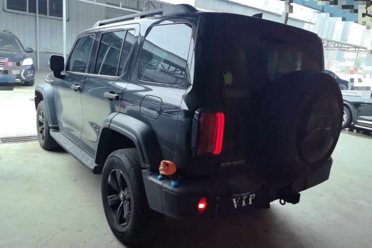 Used Tank 300 2024 2.0T Conqueror