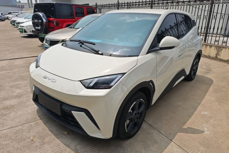 Used BYD Seagull 2024 Honor Edition 305km Freedom Version