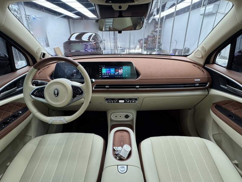 Used ORA Good Cat 2024 401 km Luxury Version 126 kW — 21