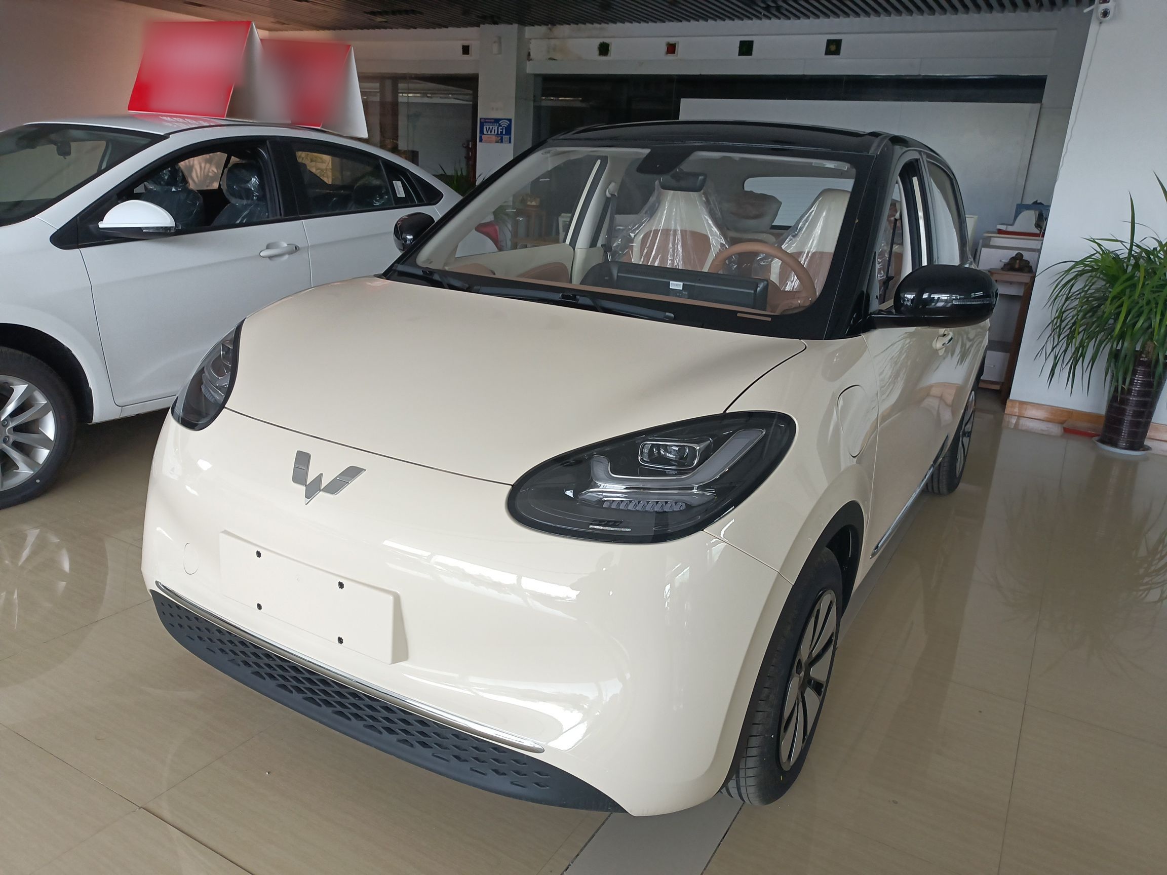 Parte inferior delantera