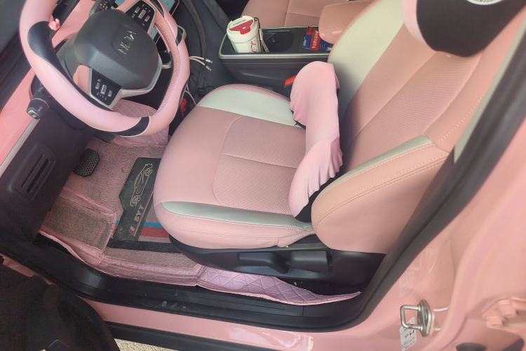 Used NETA V 2021 Witch Edition Left Front Seat