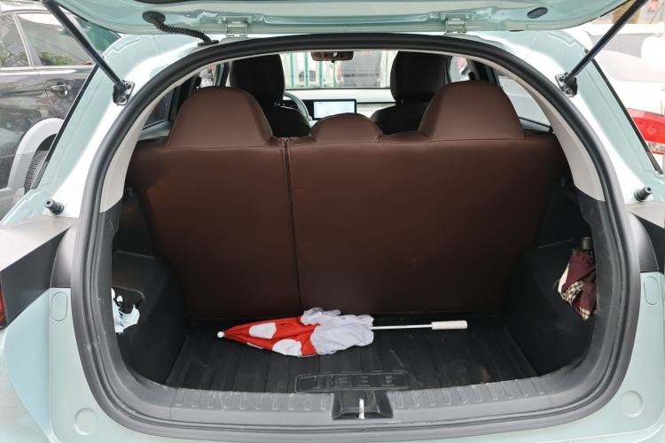 Used Geometry E Firefly 2024 401 km Fluorescent
