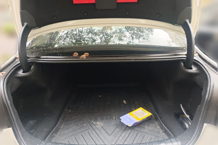 Used BMW 5 Series 2020 525Li Luxury Package