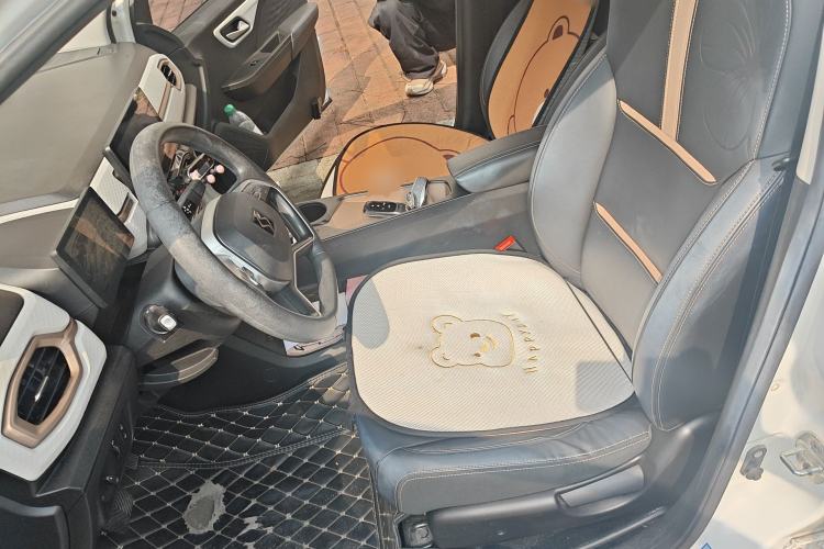 Used SOL E10X 2022 Flower Fairy Design Four-Leaf Clover