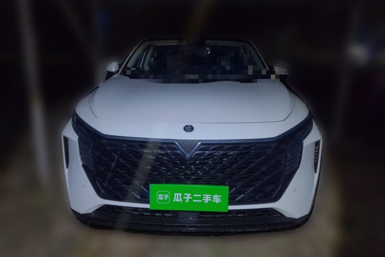Used Venucia V 2021 260T Tianwang Edition