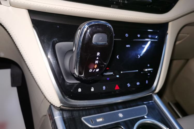 Used Buick GL8 2022 ES Landtrek 653T Luxury Edition
