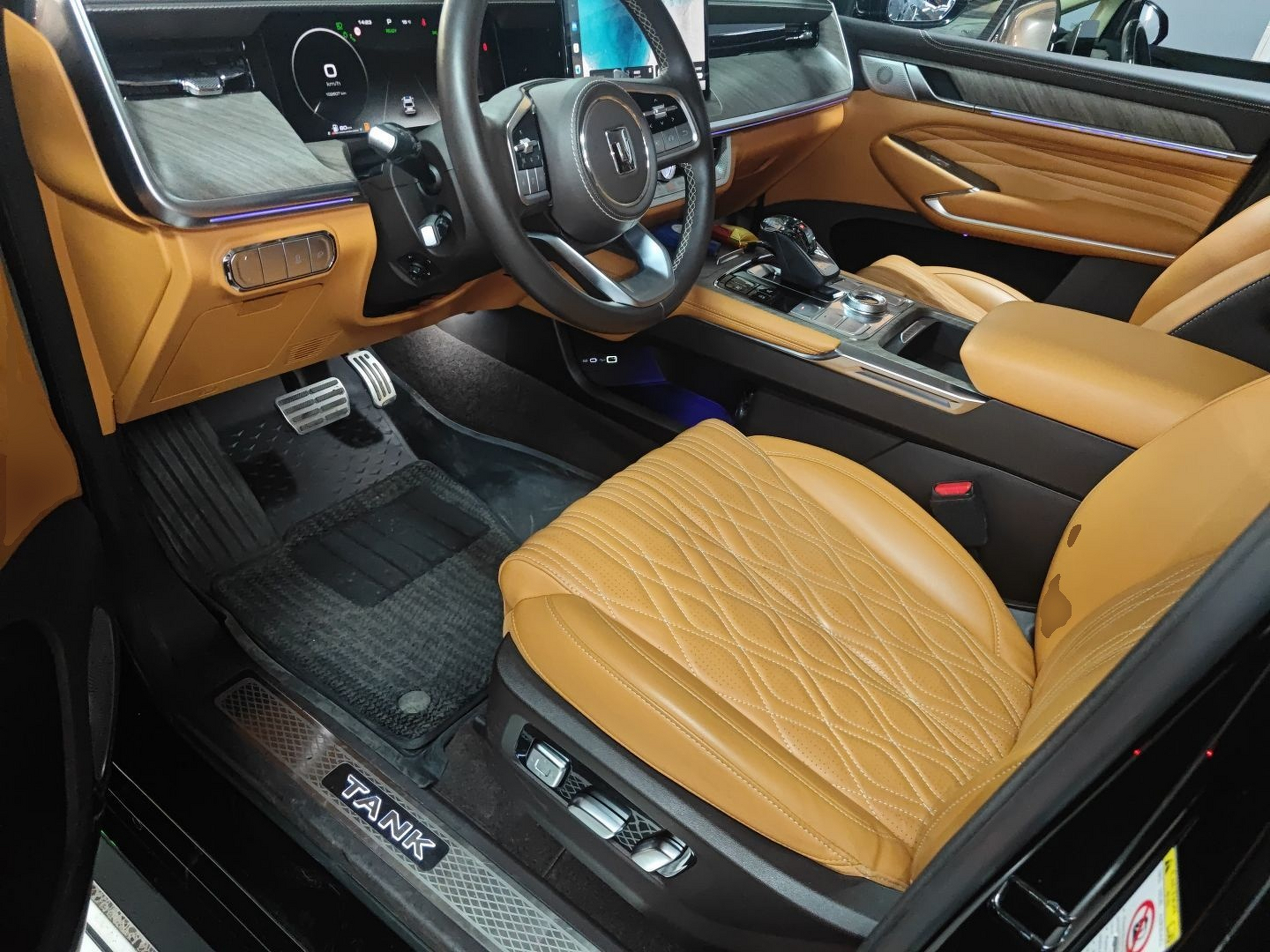 Interior delantero