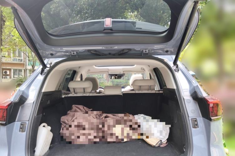 Used Wey Latte DHT-PHEV 2022 1.5T Two-Wheel Drive Big Cup
