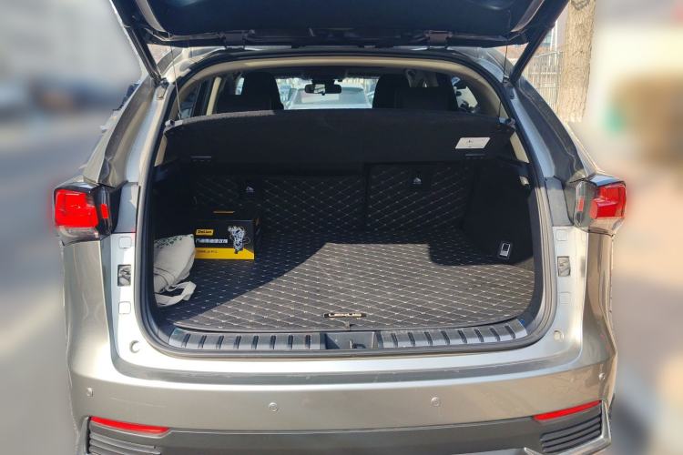 Used Lexus NX 2020 200 All-Wheel Drive Fēngshàng Version China VI Standard Trunk