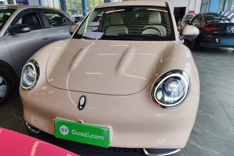 Used ORA Good Cat 2023 401 km Standard Range Luxury Version Ternary Lithium