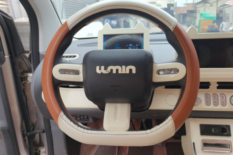 Used Qiyuan Lumin 2023 205km Xiangqin Version
