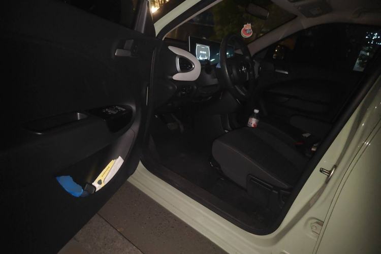 Used ORA White Cat 2020 305 km Luxury Version